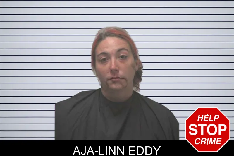 Aja-Linn Eddy mugshot – Coweta County , Georgia Aja-Linn Eddy mugshot
