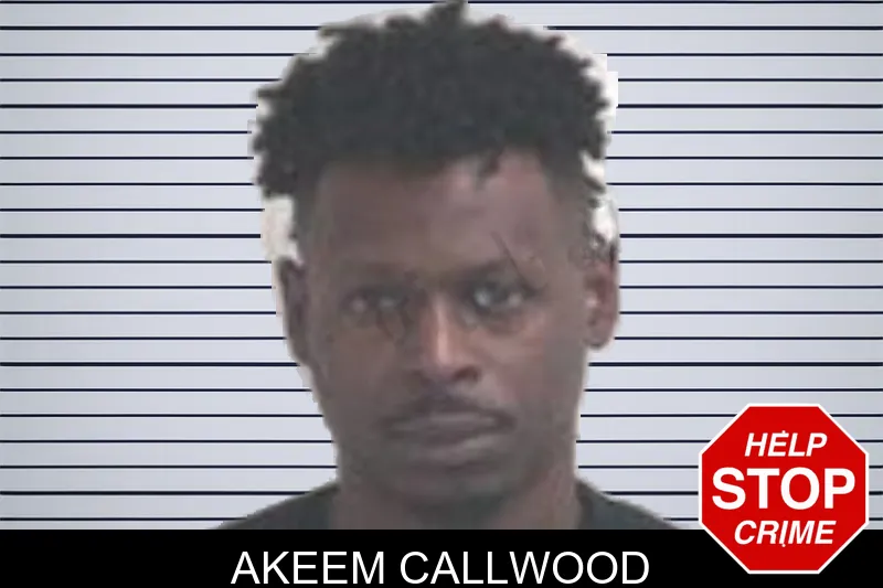 Akeem Callwood mugshot – Henry County , Georgia Akeem Callwood mugshot