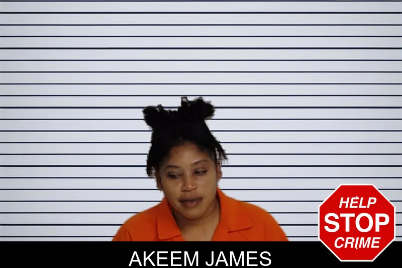 Akeem James mugshot