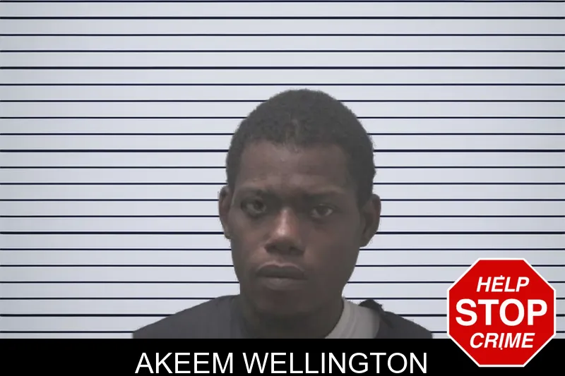 Akeem Wellington mugshot