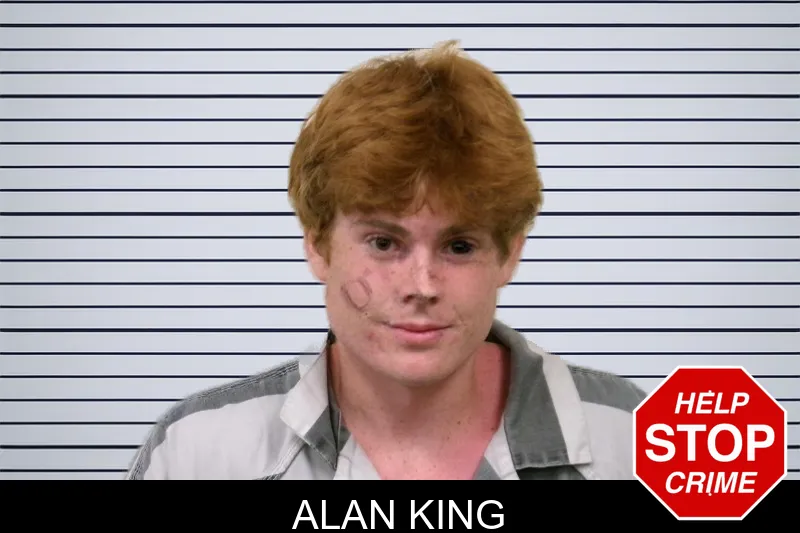 Alan King mugshot – Bulloch County , Georgia Alan King mugshot