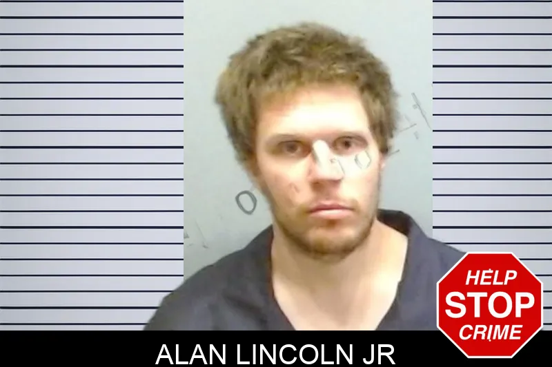 Alan Lincoln Jr mugshot