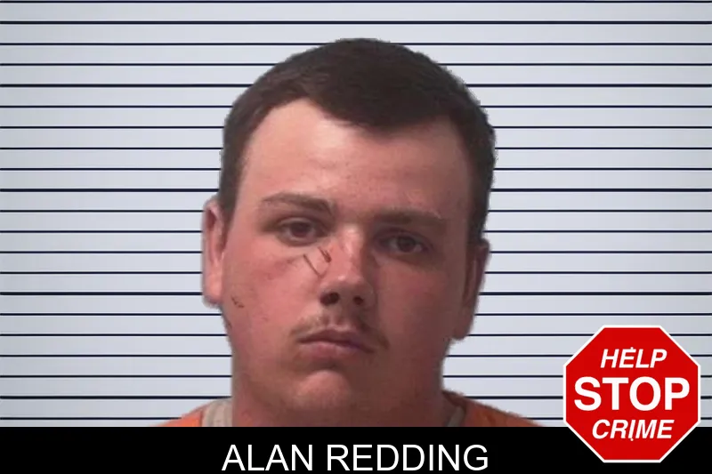 Alan Redding mugshot – Franklin County , Georgia Alan Redding mugshot