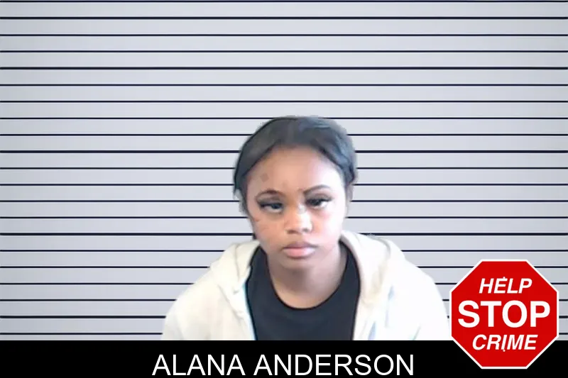 Alana Anderson mugshot