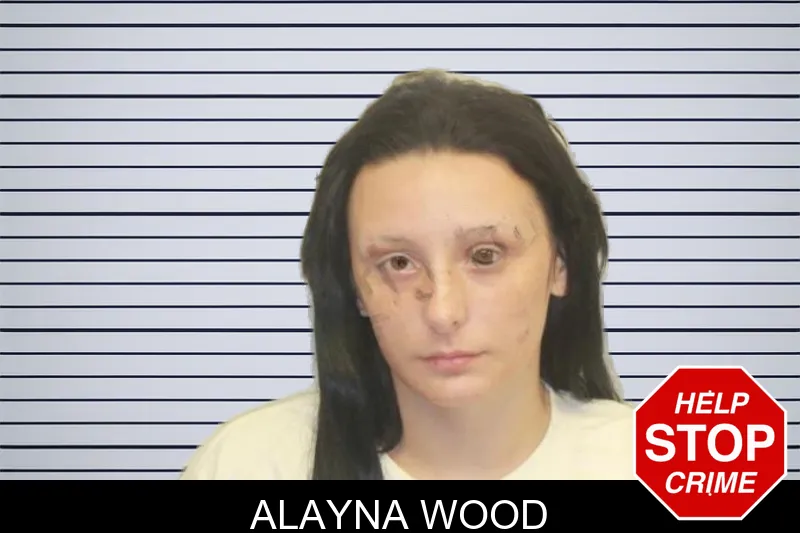Alayna Wood mugshot
