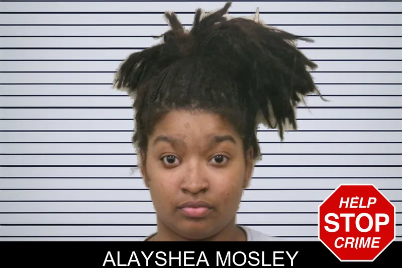 Alayshea Mosley mugshot – Bulloch County , Georgia Alayshea Mosley mugshot