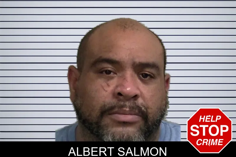 Albert Salmon mugshot – Wayne County , Georgia Albert Salmon mugshot