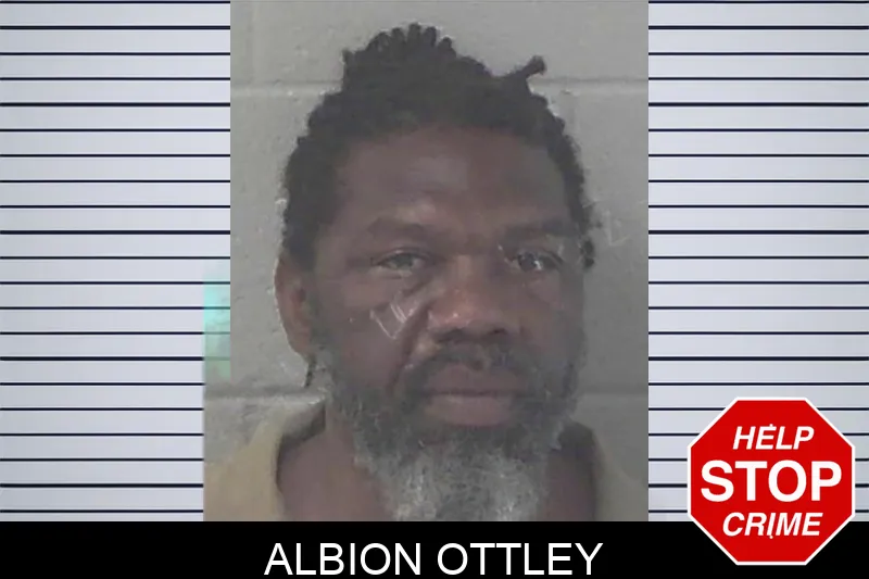 Albion Ottley mugshot