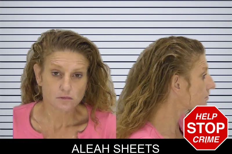 Aleah Sheets mugshot