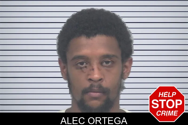 Alec Ortega mugshot