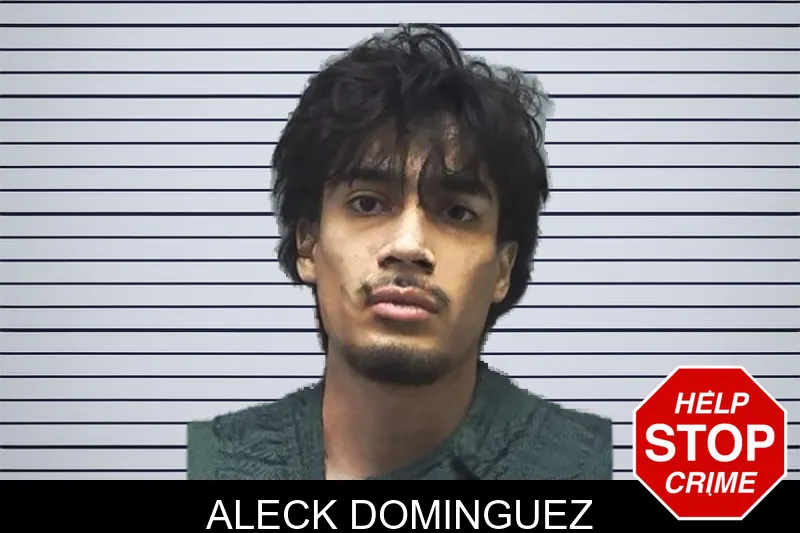 Aleck Dominguez mugshot – Cherokee County , Georgia Aleck Dominguez mugshot