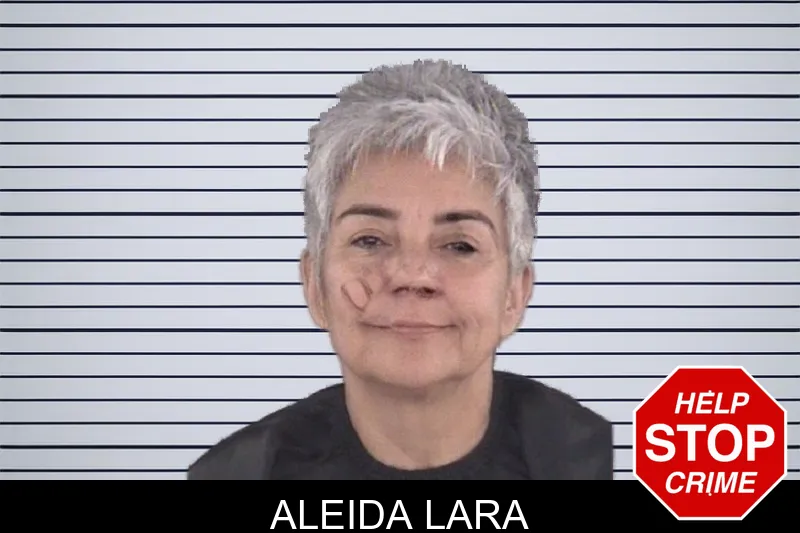 Aleida Lara mugshot