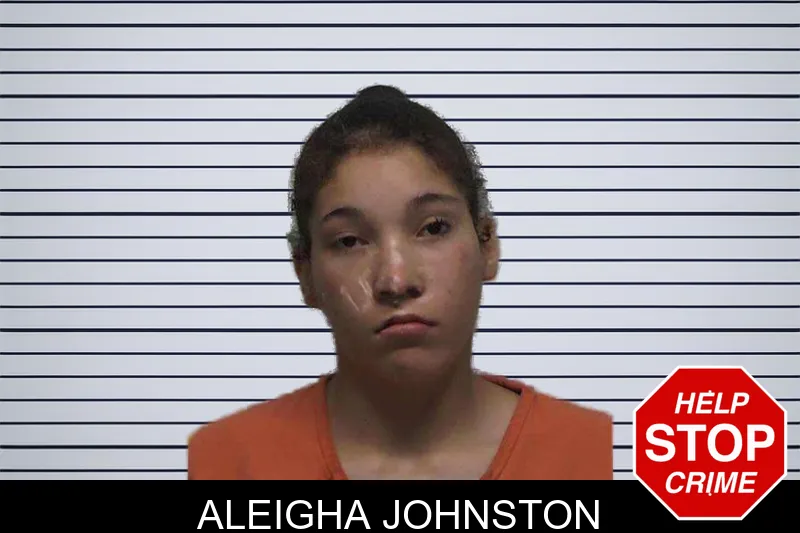 Aleigha Johnston mugshot – Laurens County , Georgia Aleigha Johnston mugshot