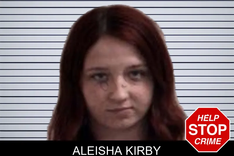 Aleisha Kirby mugshot – Henry County , Georgia Aleisha Kirby mugshot