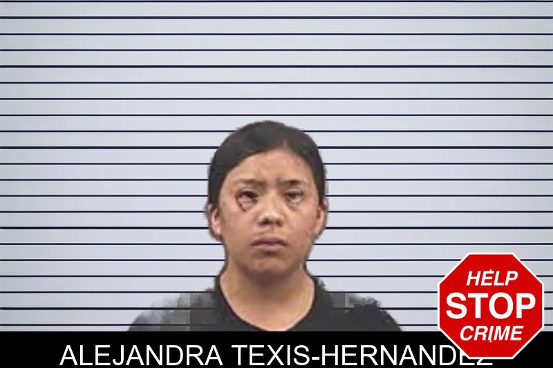 Alejandra Texis-Hernandez mugshot – Banks County , Georgia Alejandra Texis-Hernandez mugshot