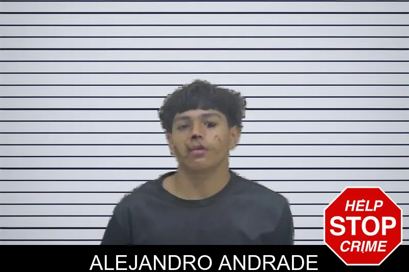 Alejandro Andrade mugshot – Coffee County , Georgia Alejandro Andrade mugshot