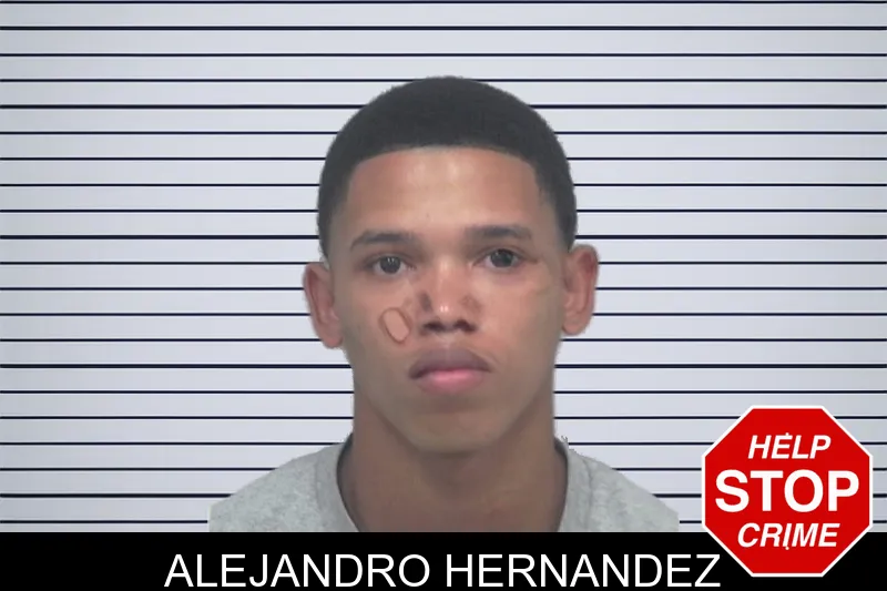 Alejandro Hernandez mugshot
