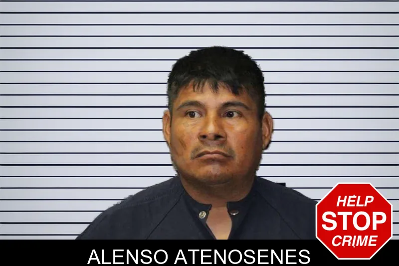 Alenso Atenosenes mugshot – Thomas County , Georgia Alenso Atenosenes mugshot