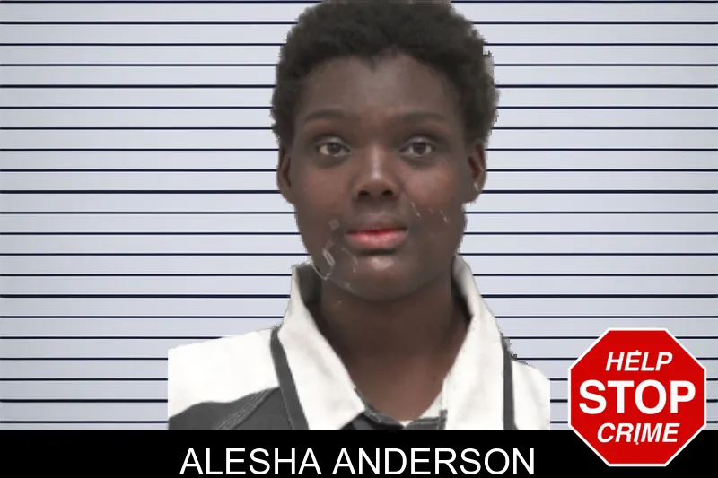 Alesha Anderson mugshot