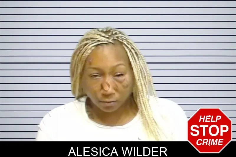 Alesica Wilder mugshot