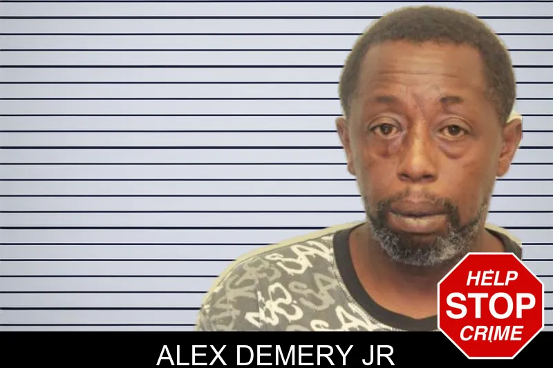 Alex Demery Jr mugshot – Chatham County , Georgia Alex Demery Jr mugshot