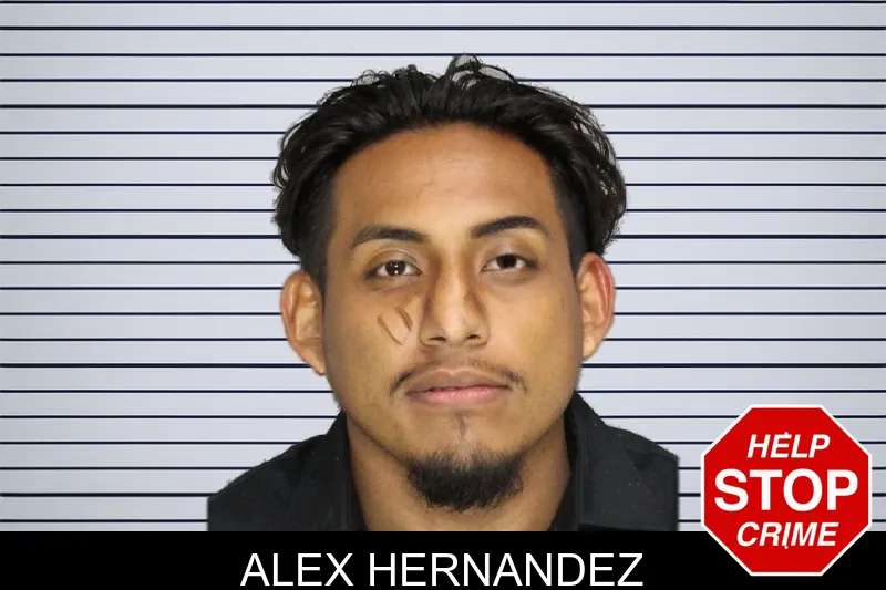 Alex Hernandez mugshot