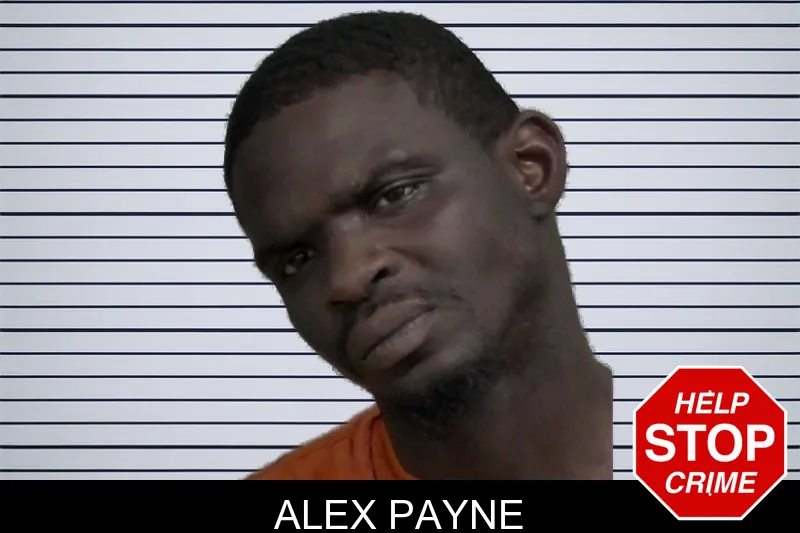 Alex Payne mugshot – Wayne County , Georgia Alex Payne mugshot