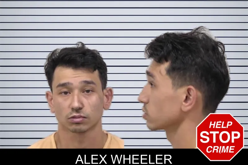 Alex Wheeler mugshot