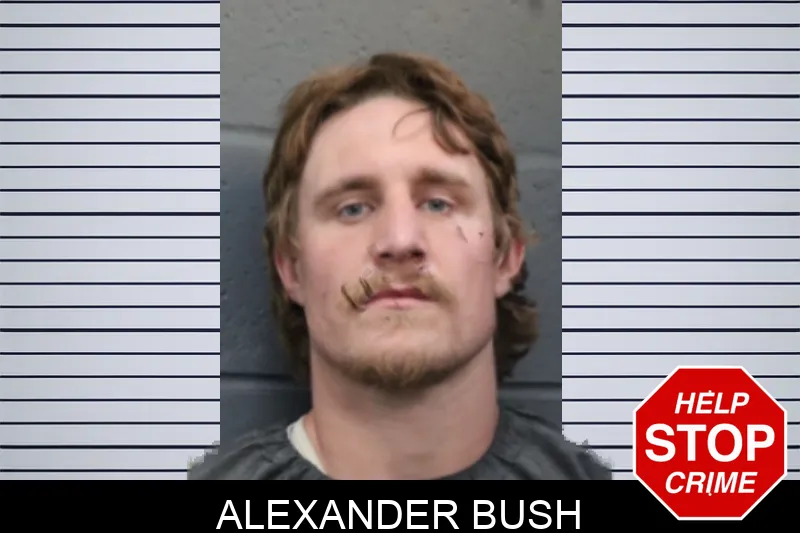 Alexander Bush mugshot