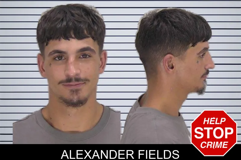 Alexander Fields mugshot
