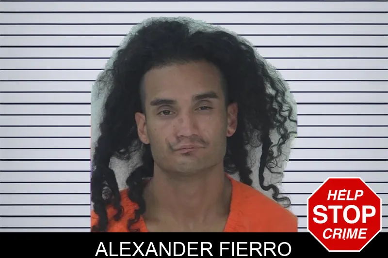 Alexander Fierro mugshot