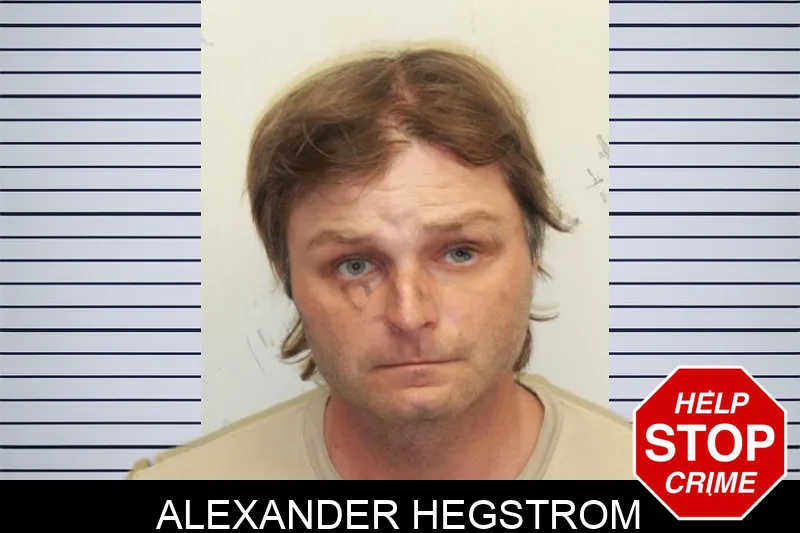 Alexander Hegstrom mugshot