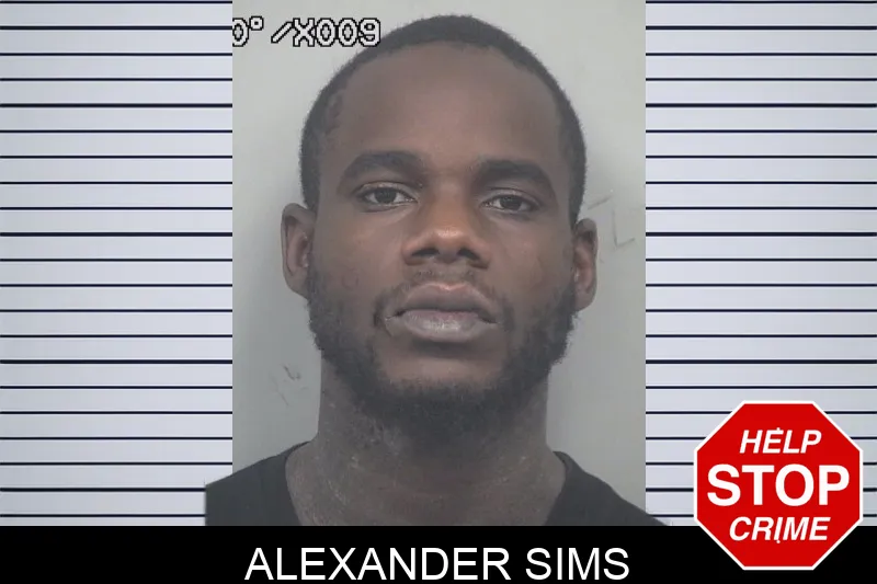 Alexander Sims mugshot