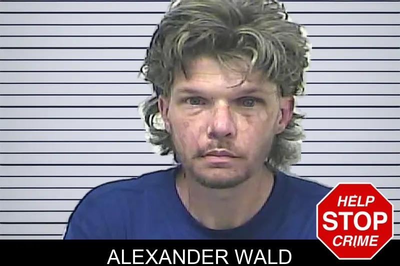 Alexander Wald mugshot