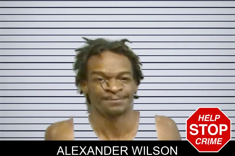 Alexander Wilson mugshot