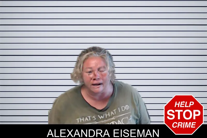 Alexandra Eiseman mugshot – DeKalb County , Georgia Alexandra Eiseman mugshot