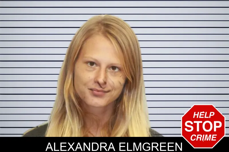 Alexandra Elmgreen mugshot – Chatham County , Georgia Alexandra Elmgreen mugshot