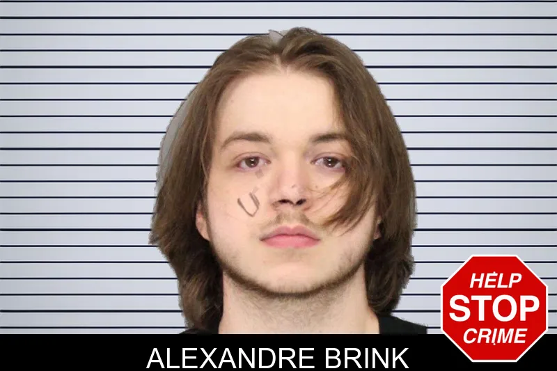Alexandre Brink mugshot