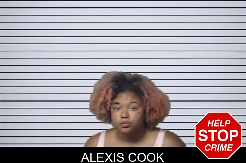 Alexis Cook mugshot