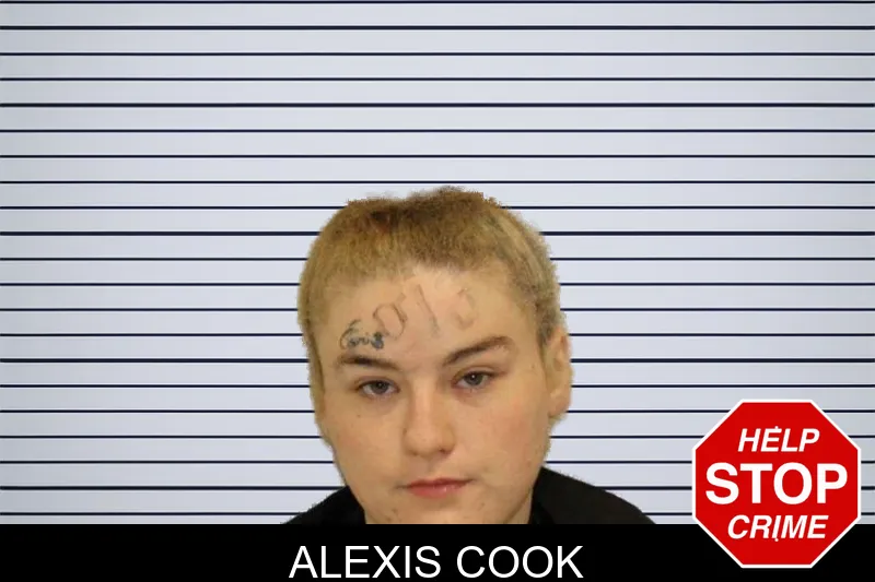 Alexis Cook mugshot