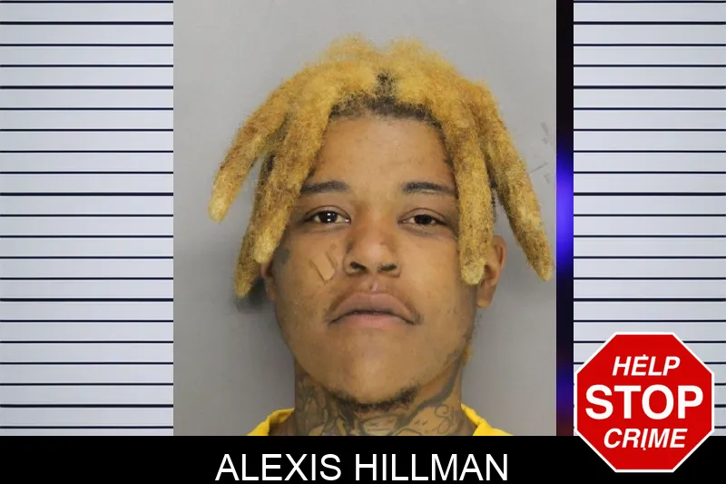 Alexis Hillman mugshot – Cobb County , Georgia Alexis Hillman mugshot