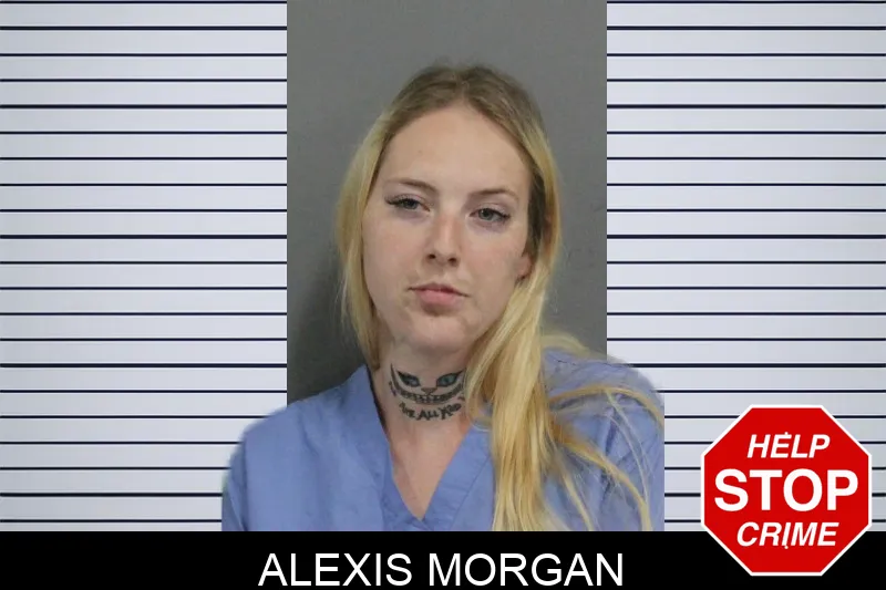Alexis Morgan mugshot – Catoosa County , Georgia Alexis Morgan mugshot