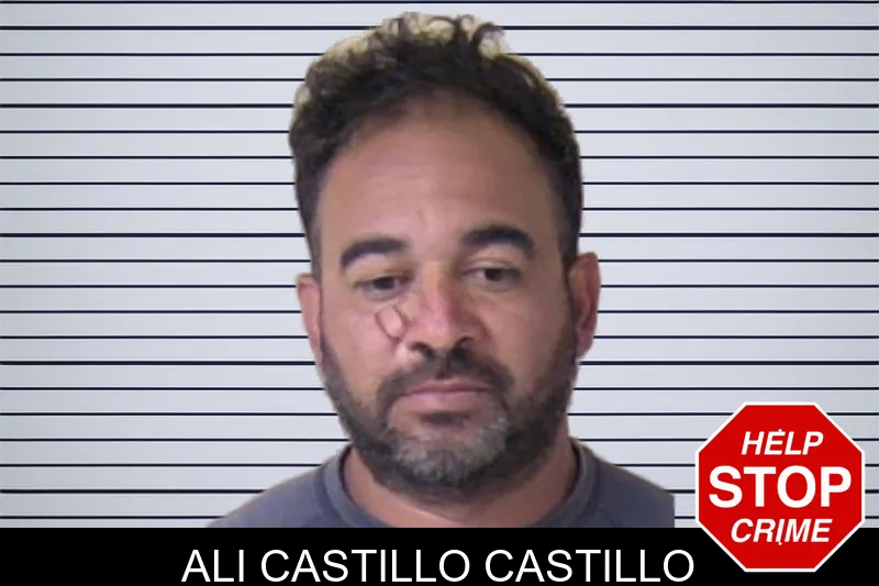 Ali Castillo Castillo mugshot – Walker County , Georgia Ali Castillo Castillo mugshot