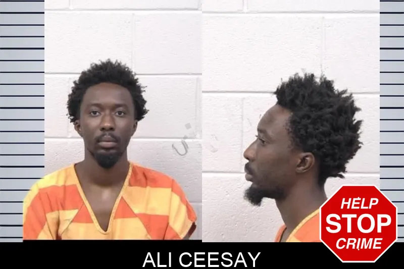 Ali Ceesay mugshot – Paulding County , Georgia Ali Ceesay mugshot