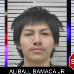 Aliball Bamaca Jr mugshot