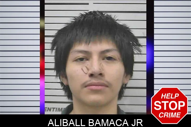 Aliball Bamaca Jr mugshot