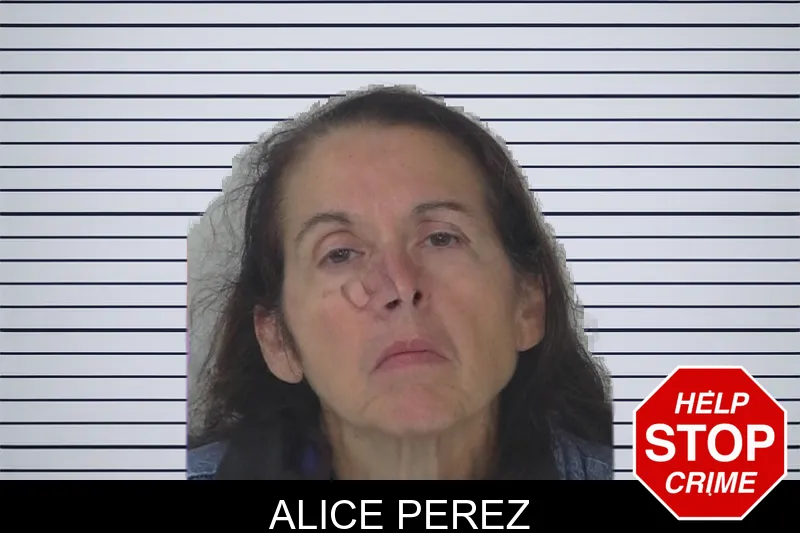 Alice Perez mugshot