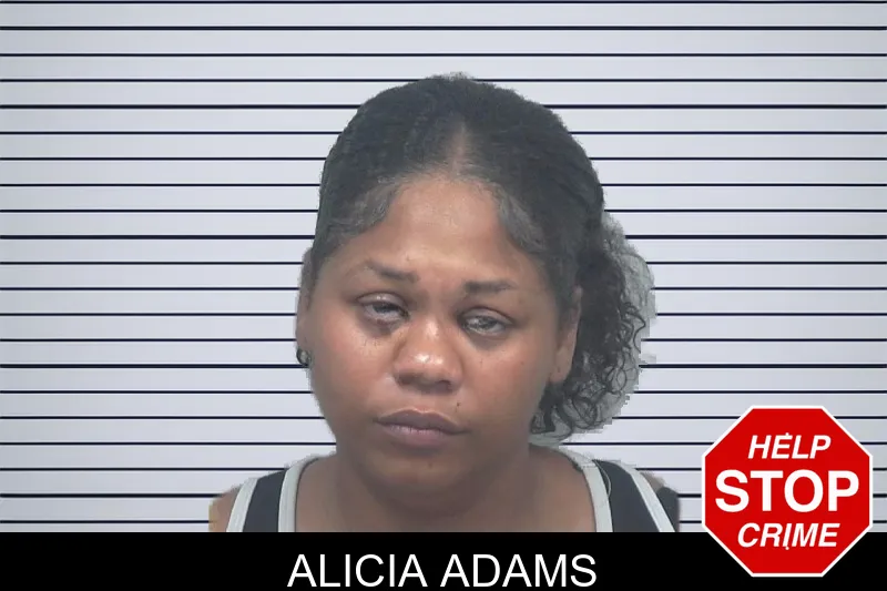 Alicia Adams mugshot – Gwinnett County , Georgia Alicia Adams mugshot