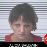 Alicia Baldwin mugshot
