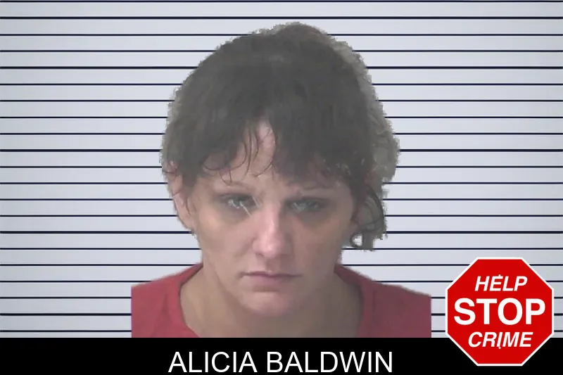 Alicia Baldwin mugshot